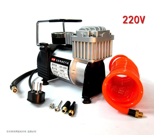 AC AIR COMPRESSOR FS220DS 110V 220V Portable Mini Car Air Compressor Car Tire Inflator